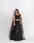 Stellara Lehenga Set